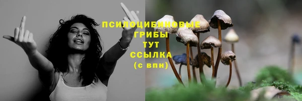 марки lsd Алзамай