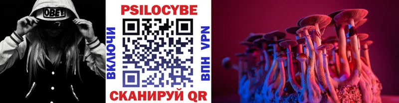 Галлюциногенные грибы мицелий  Макушино 